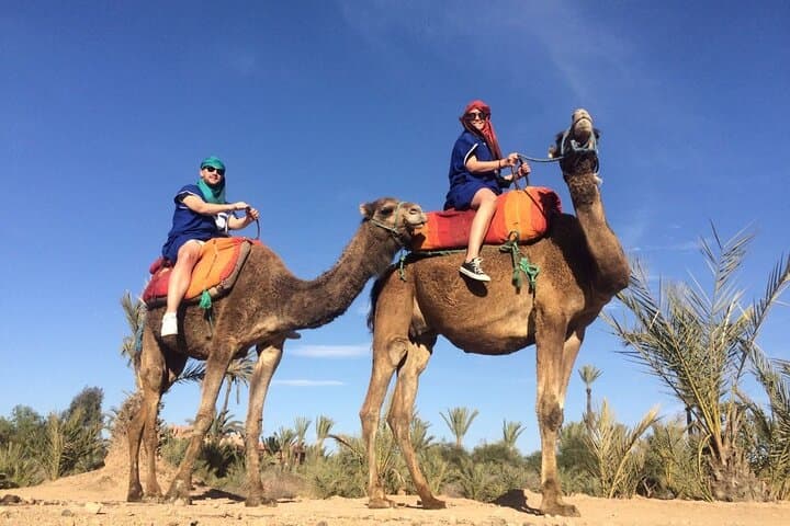 Palmeraie Camel Ride: 1-Hour Shared Camel Trek Near Marrakech photo 4