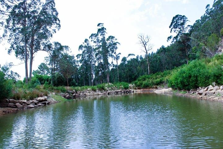 Sintra Sacred Waters Walking Tour: Holly Waters, Pena & Coastal Views
