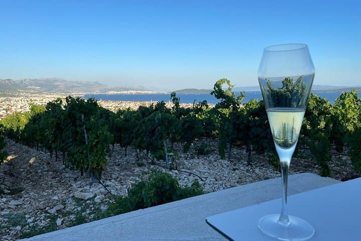 Private Split and Trogir Wine Tasting Vineyard with Adriatic Sea View photo 3