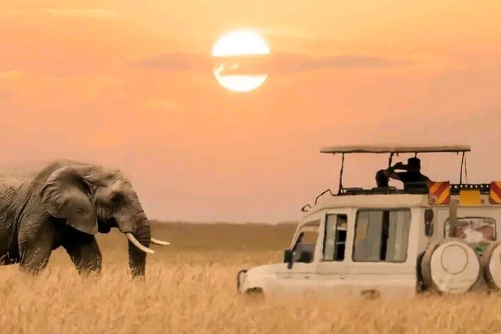 Three-Day Private Safari: Tarangire, Ngorongoro & Lake Manyara photo 5