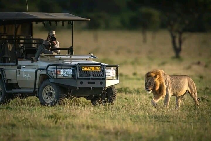 2-Day Selous Safari from Zanzibar: Game Drives & Rufiji River Boat Cruise