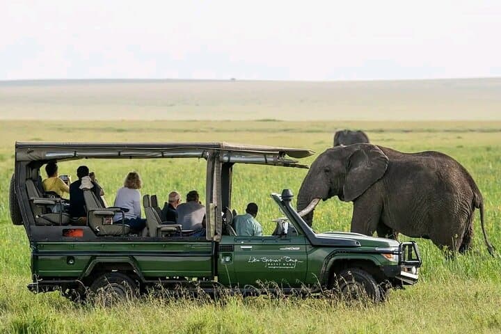2-Day Selous Safari from Zanzibar: Game Drives & Rufiji River Boat Cruise photo 4