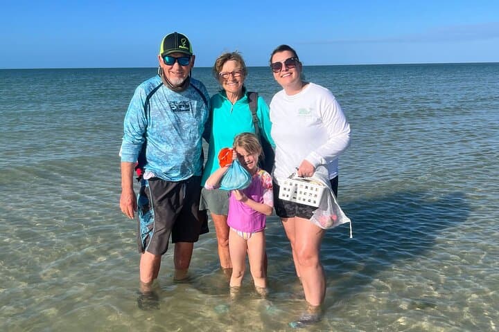 Private Island Eco Tour: Dolphins, Shelling & Birding from Marco Island