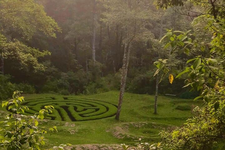 Hike the Sacred Path Above Lake Atitlán — Forest Trails & Maya Insights
