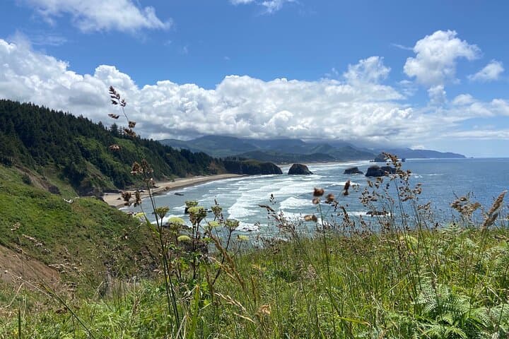 Exploring Cannon Beach: Oregon Coast Hiking and Coastal Rainforest Adventure photo 4
