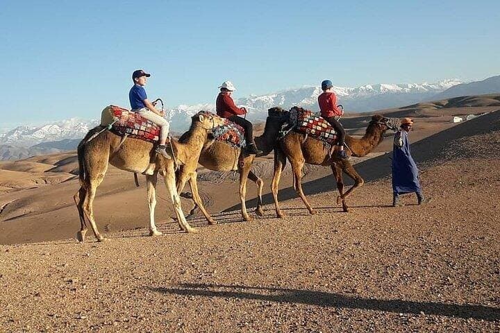 Sunset Paragliding and Camel Ride in the Agafay Desert from Marrakech photo 5
