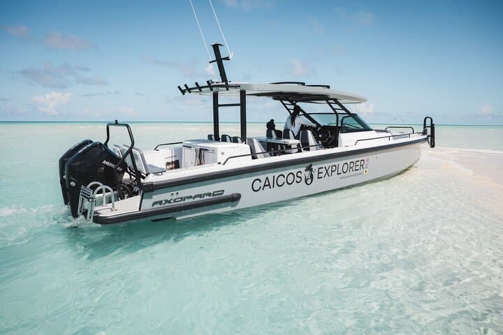 North and Middle Caicos Day Trip — Mudjin Harbour, Conch Bar Caves & Bambarra Beach photo 4