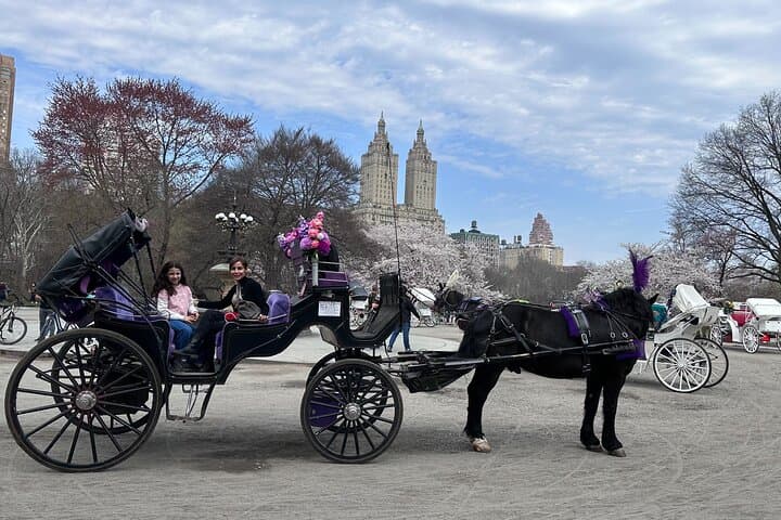 Central Park Carriage Ride: 45-Minute Guided Tour of NYC Landmarks photo 3