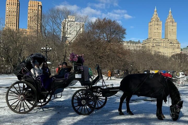 Central Park Carriage Ride: 45-Minute Guided Tour of NYC Landmarks photo 4