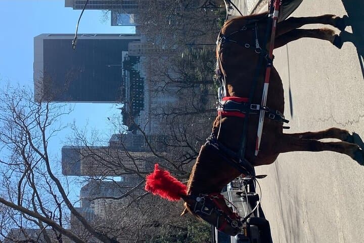 Central Park Carriage Ride: 45-Minute Guided Tour of NYC Landmarks photo 5