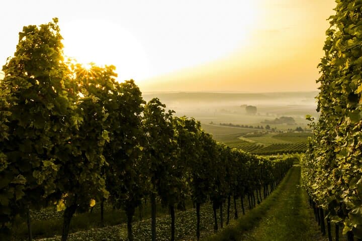Vienna to Prague Private Transfer with Mikulov Winery Stop photo 2