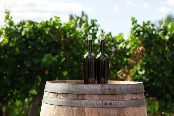 Vienna to Prague Private Transfer with Mikulov Winery Stop