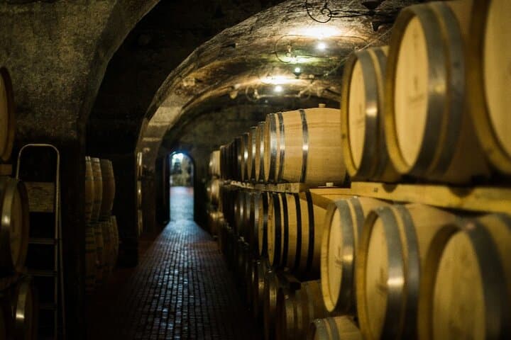 Stellenbosch Wine Tour from Cape Town: Small-Group Full-Day Tastings & Cellar Experiences photo 3