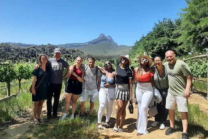Stellenbosch Wine Tour from Cape Town: Small-Group Full-Day Tastings & Cellar Experiences photo 4