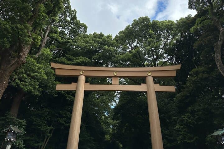 Tokyo Meiji Jingu Shrine Wellness Tour: Private 3-Hour Forest Bathing & Tea