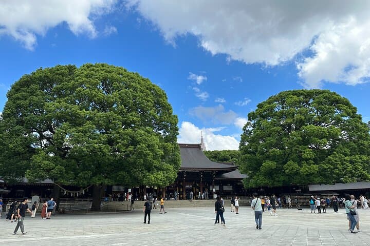 Tokyo Meiji Jingu Shrine Wellness Tour: Private 3-Hour Forest Bathing & Tea photo 2