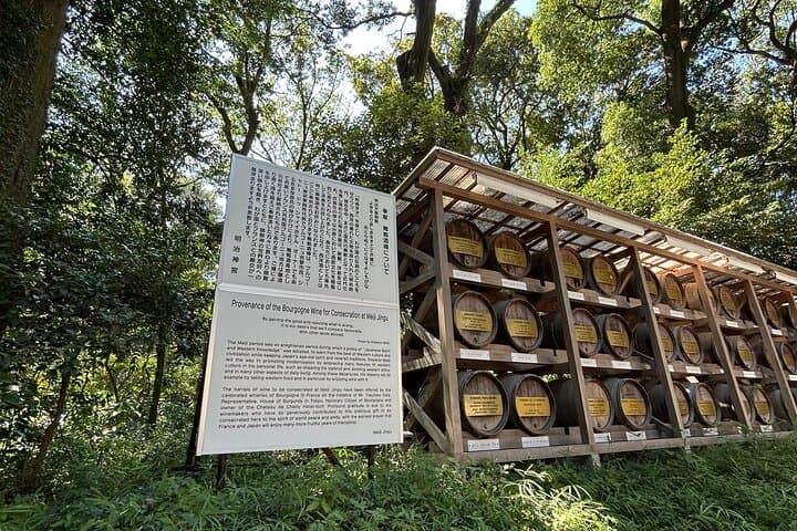 Tokyo Meiji Jingu Shrine Wellness Tour: Private 3-Hour Forest Bathing & Tea photo 4
