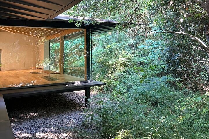 Tokyo Meiji Jingu Shrine Wellness Tour: Private 3-Hour Forest Bathing & Tea photo 3