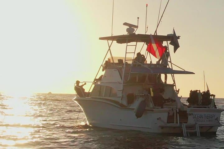 Waikiki Sunset Cruise: Semi-Private Evening Sail with Dolphin and Turtle Sightings photo 2