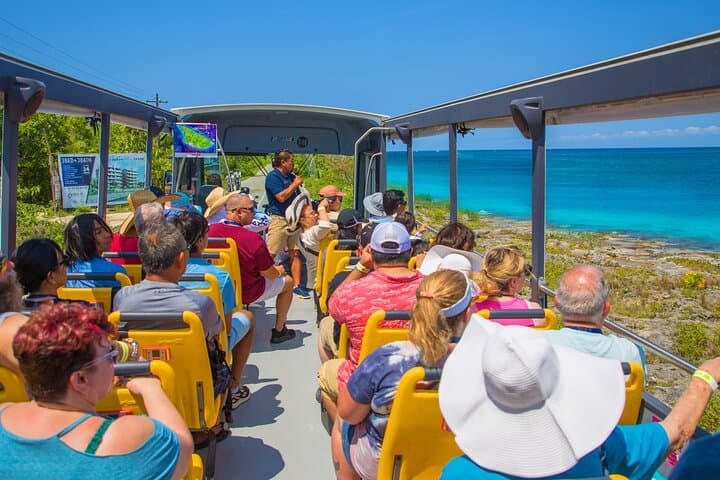 Open-Top City Tour and Beach Break in Cozumel — Mayan Sites, Tequila & Sand