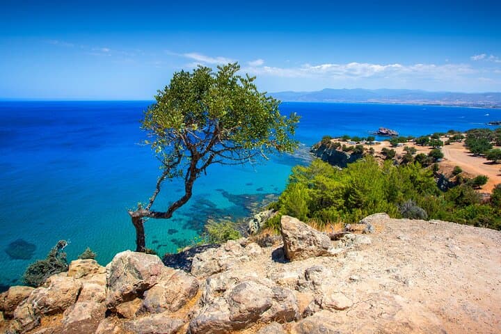 Private Akamas Expedition: Avakas Gorge, Lara Beach & Baths of Aphrodite from Limassol