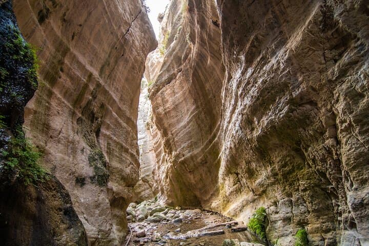 Private Akamas Expedition: Avakas Gorge, Lara Beach & Baths of Aphrodite from Limassol photo 2