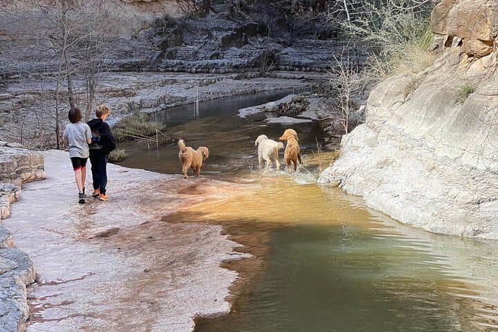 Explore the Lost Mining City of Chrysotile: Full-Day Access to Ash Creek Canyon photo 5