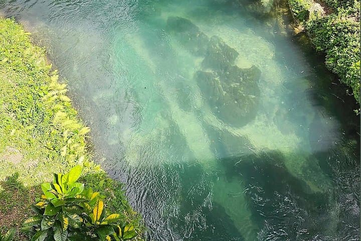 Blue Hole Secret Falls & ATV Experience from Montego Bay — Swim, Cliff Jump & Ride photo 3