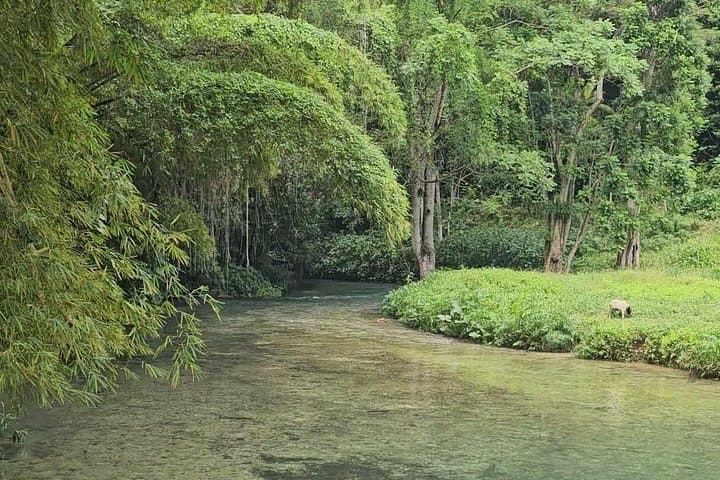 Blue Hole Secret Falls & ATV Experience from Montego Bay — Swim, Cliff Jump & Ride photo 4