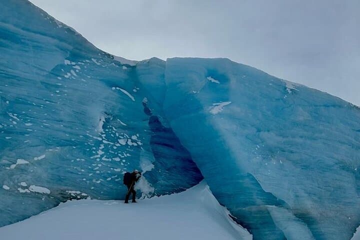 Premium Albino Eye Glacier Trekking — Challenging Day Hike from Ushuaia photo 3