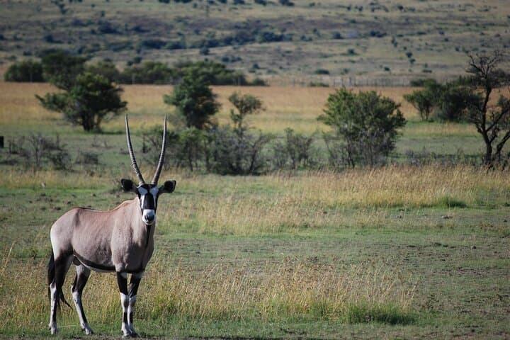Arusha National Park Day Safari — Walking Safari & Game Drive by Mount Meru