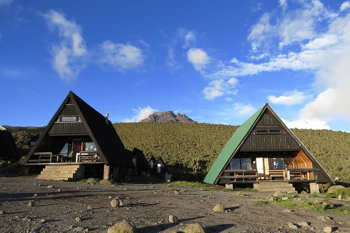Full-Day Marangu Trek to Mandara Hut on Mount Kilimanjaro photo 2