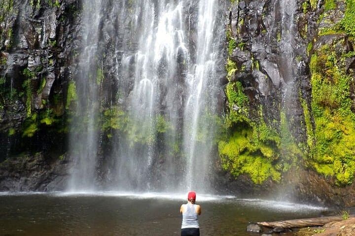 Materuni Village & Waterfalls Full-Day Tour from Arusha — Coffee, Culture & Chemka Hot Springs