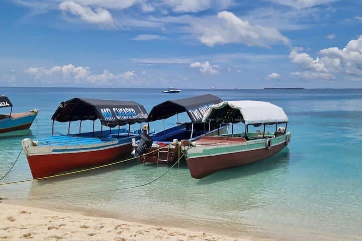 Two-Day Private Zanzibar Tour: Stone Town, Jozani & Mnemba Island