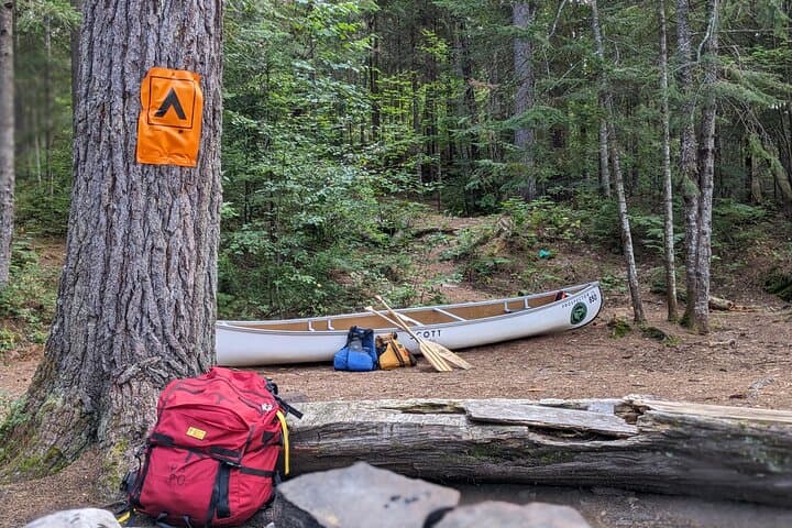 Full-Day Guided Canoe Tour on the Oxtongue River — Algonquin Park photo 5
