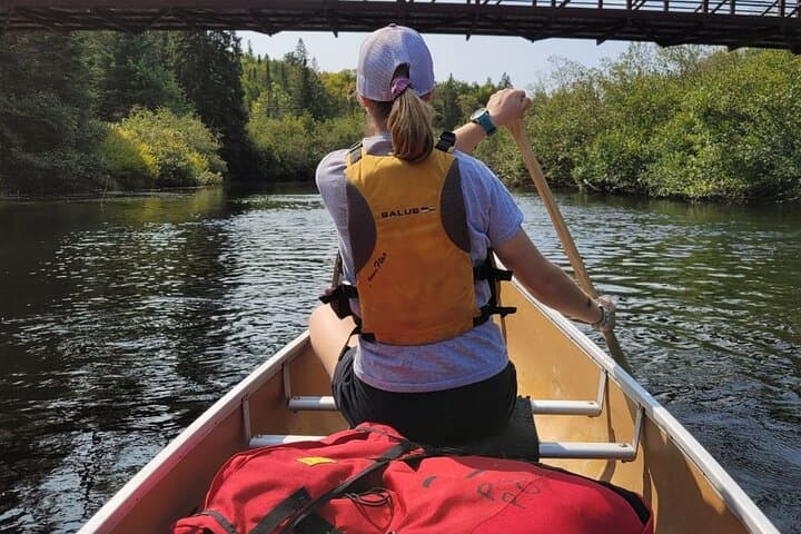 Full-Day Guided Canoe Tour on the Oxtongue River — Algonquin Park photo 6