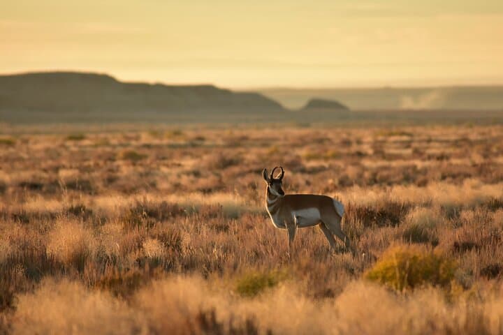 3-Day Ngorongoro Crater Safari: Tarangire, Lake Manyara & Big Five Game Drives photo 2