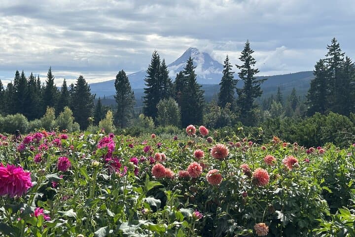 Exploring Mt Hood Day Trip: Multnomah Falls, Hood River & Columbia River Gorge Highlights