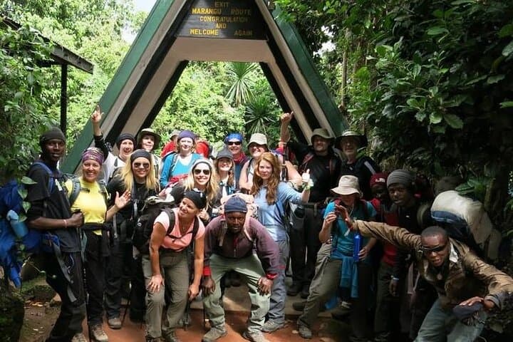 Full-Day Marangu Trek to Mandara Hut on Mount Kilimanjaro photo 6