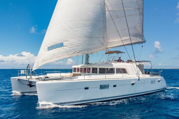 Luxury Private Catamaran Cruise in Moorea — Snorkel with Dolphins & Sunset Views