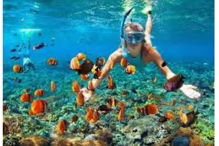 Montego Bay Party Catamaran and Snorkeling Tour — Sun, Sea and Reggae photo 5