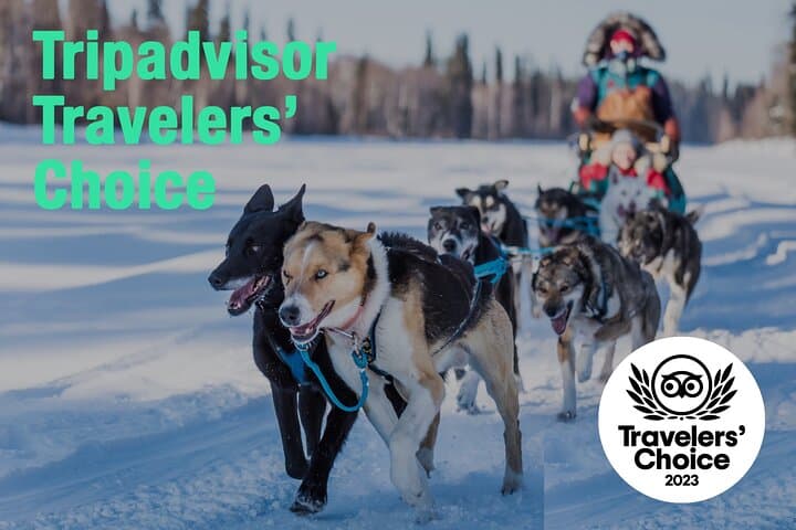 Private Dog Sledding on the Yukon Quest Trail near Fairbanks photo 2