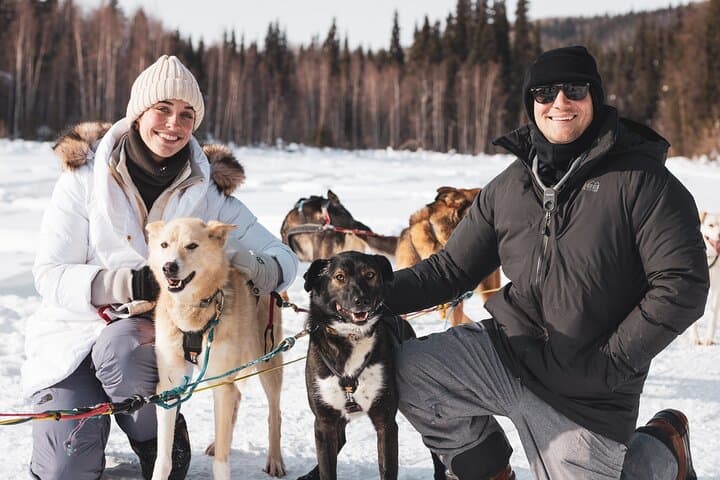 Private Dog Sledding on the Yukon Quest Trail near Fairbanks photo 3