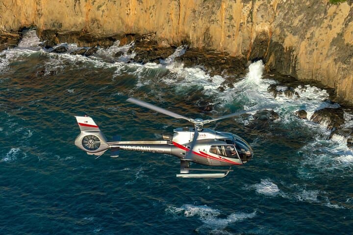 SoCal Coastal Helicopter Tour from Long Beach — 30-Minute Aerial Flight Over Newport to Laguna photo 4