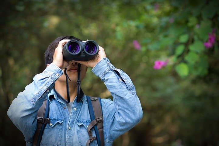Private Bird-Watching in Esquipulas: Manuel Antonio Morning Tour photo 6