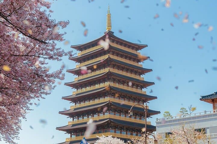 Gyeongju Cherry Blossom Day Trip from Seoul: Bomun Lake, Hwangnyongwon & Hwangridan-gil