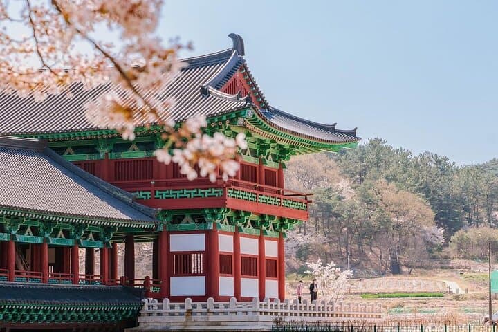 Gyeongju Cherry Blossom Day Trip from Seoul: Bomun Lake, Hwangnyongwon & Hwangridan-gil photo 2