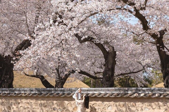 Gyeongju Cherry Blossom Day Trip from Seoul: Bomun Lake, Hwangnyongwon & Hwangridan-gil photo 4