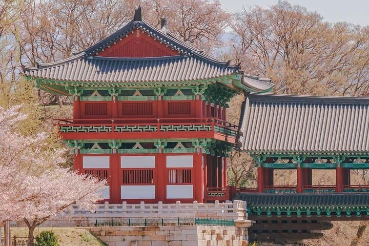 Gyeongju Cherry Blossom Day Trip from Seoul: Bomun Lake, Hwangnyongwon & Hwangridan-gil photo 5