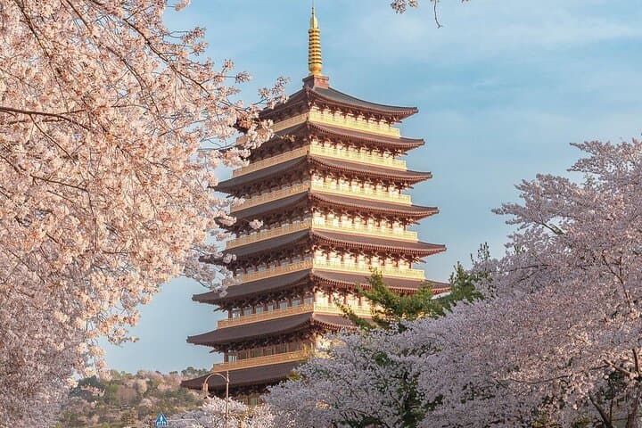 Gyeongju Cherry Blossom Day Trip from Seoul: Bomun Lake, Hwangnyongwon & Hwangridan-gil photo 6